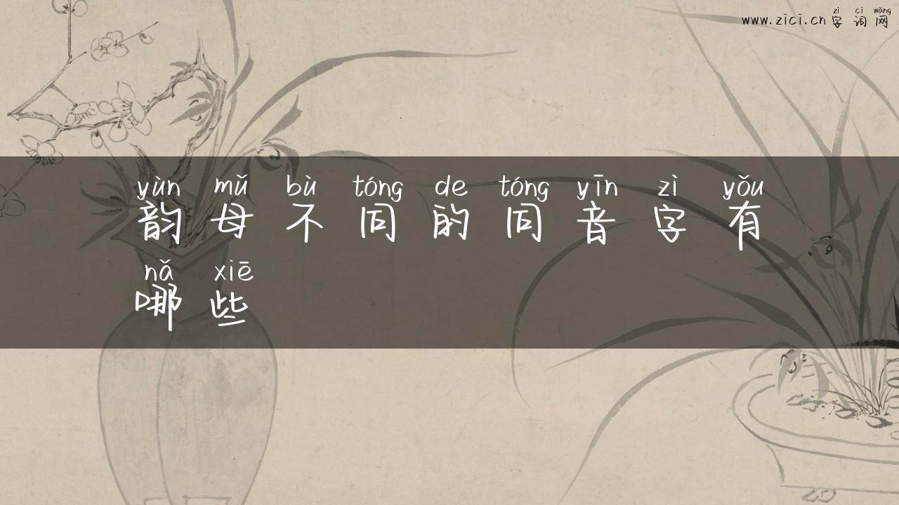韵母不同的同音字有哪些