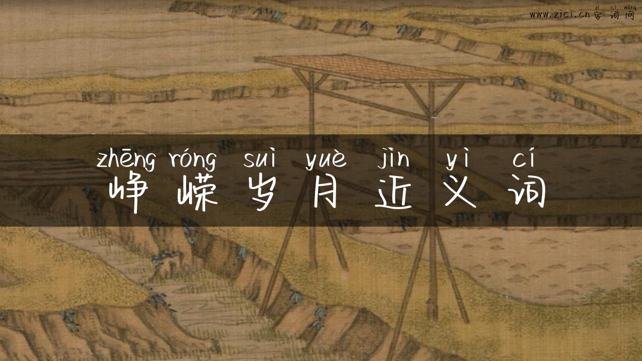 峥嵘岁月近义词