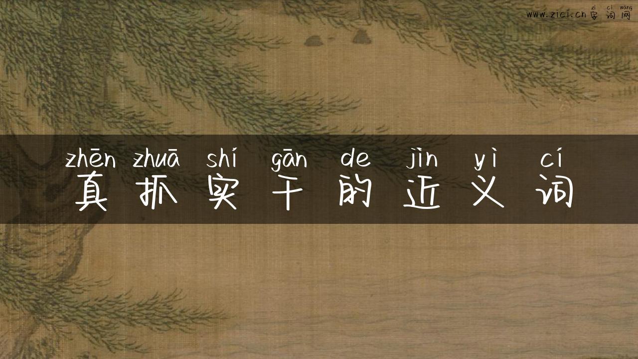 真抓实干的近义词
