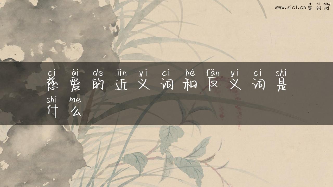 慈爱的近义词和反义词是什么