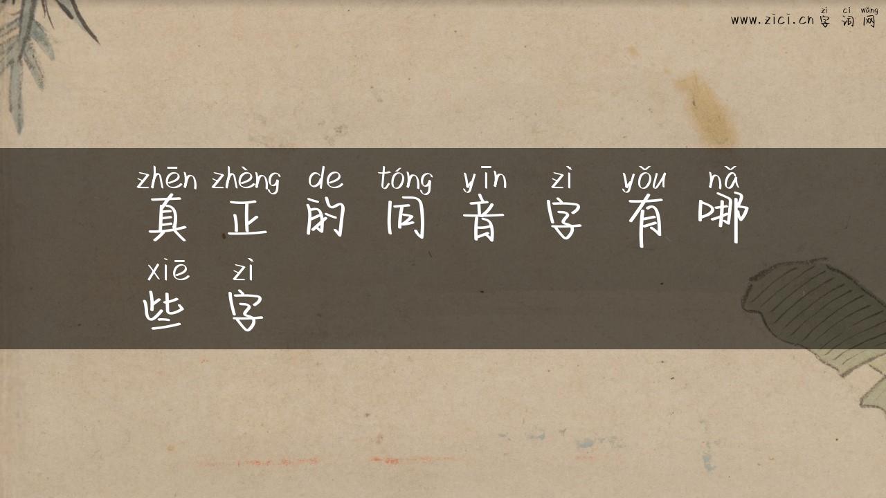 真正的同音字有哪些字