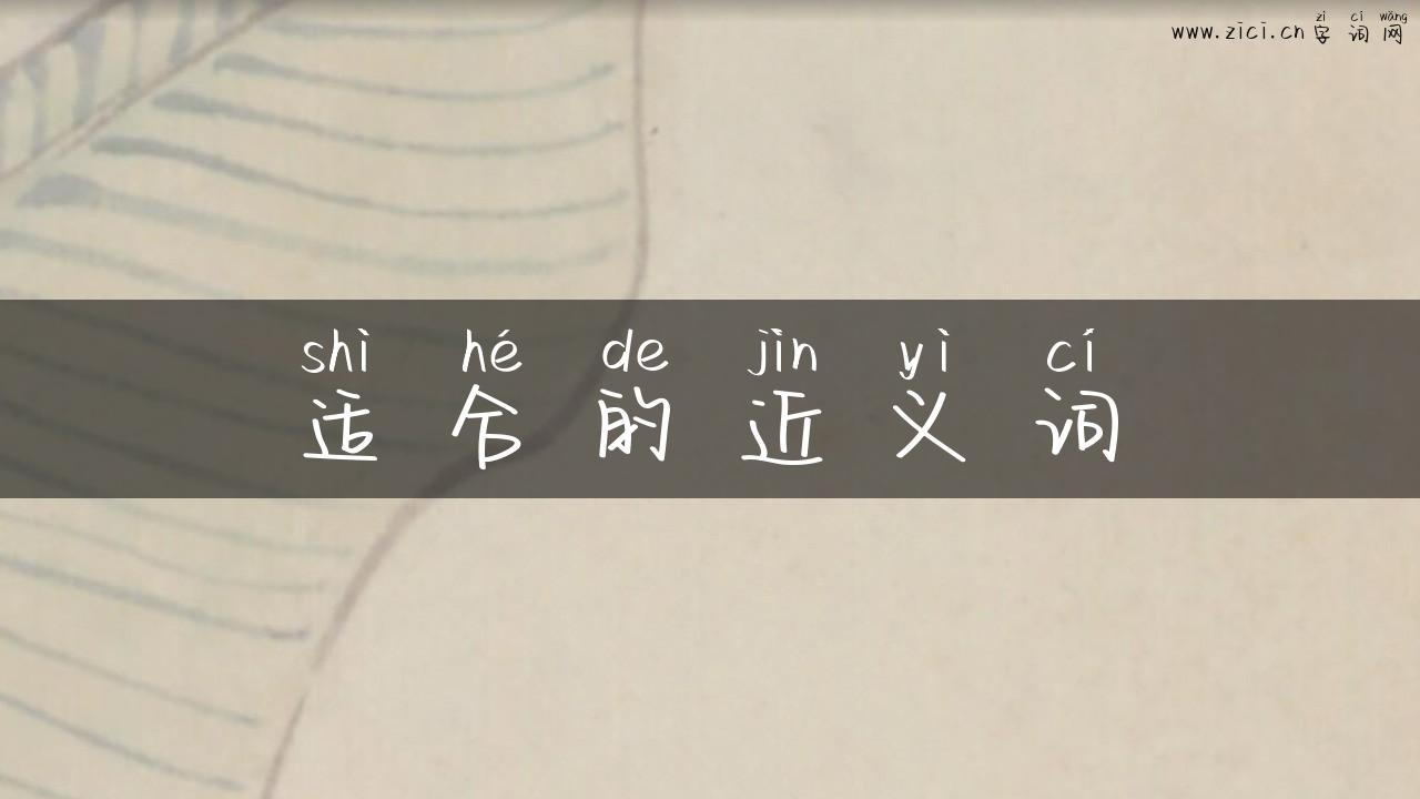 适合的近义词