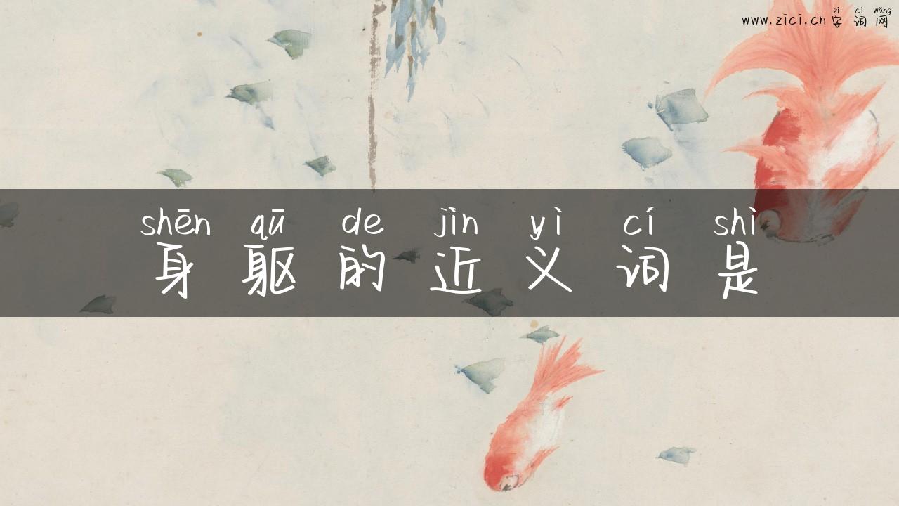 身躯的近义词是