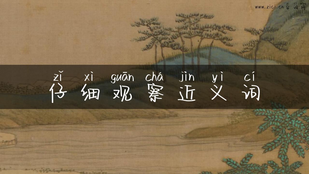 仔细观察近义词