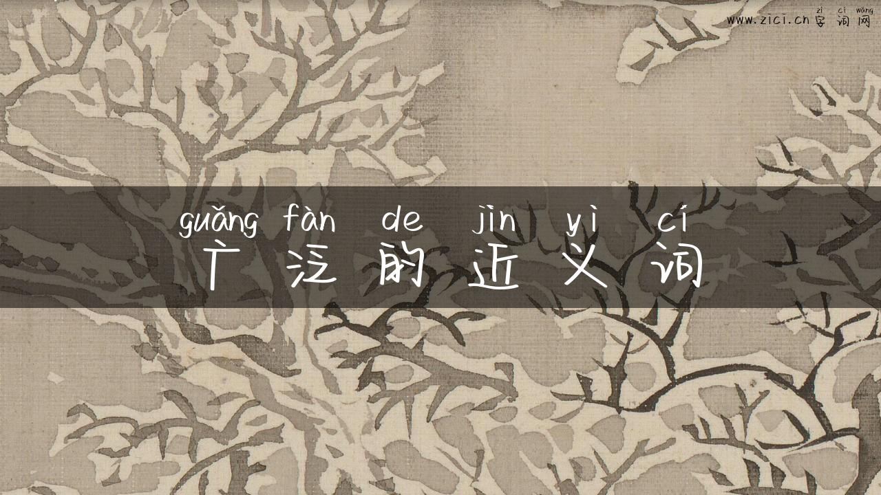 广泛的近义词