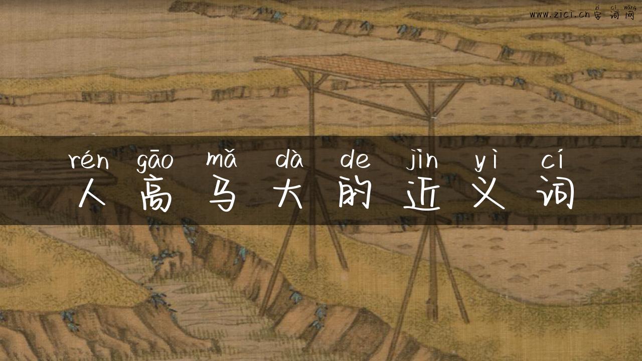 人高马大的近义词