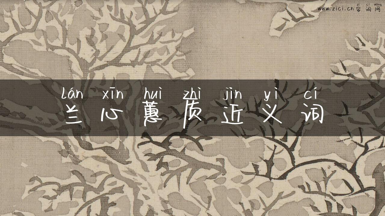 兰心蕙质近义词