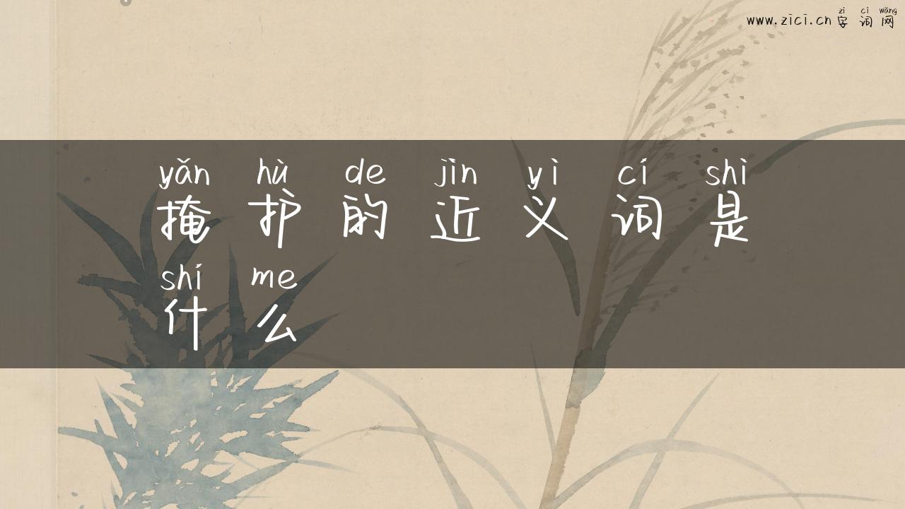 掩护的近义词是什么