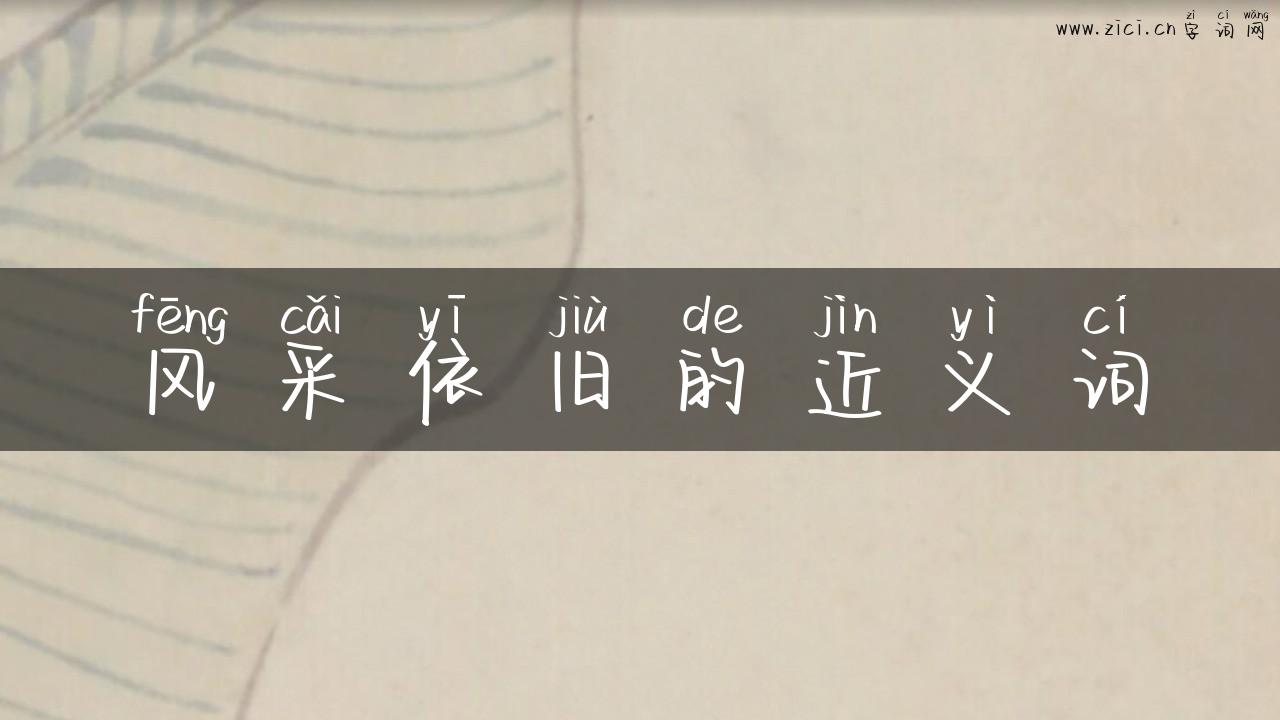 风采依旧的近义词