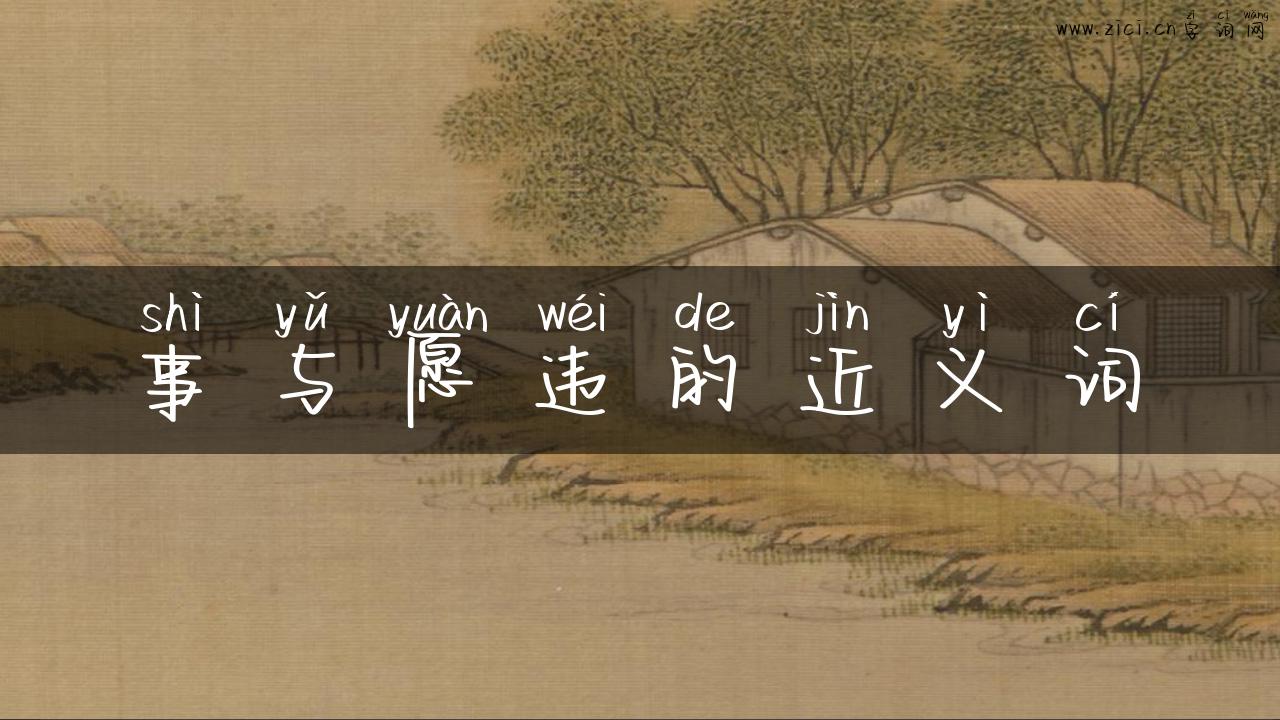 事与愿违的近义词