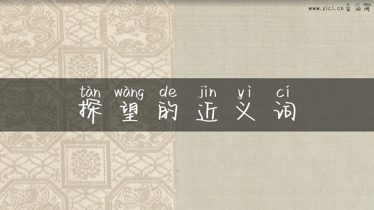 探望的近义词