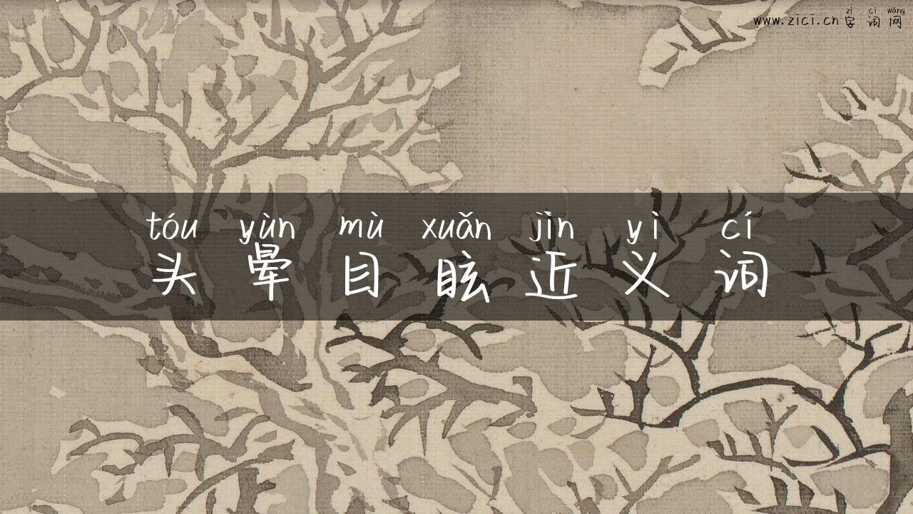 头晕目眩近义词
