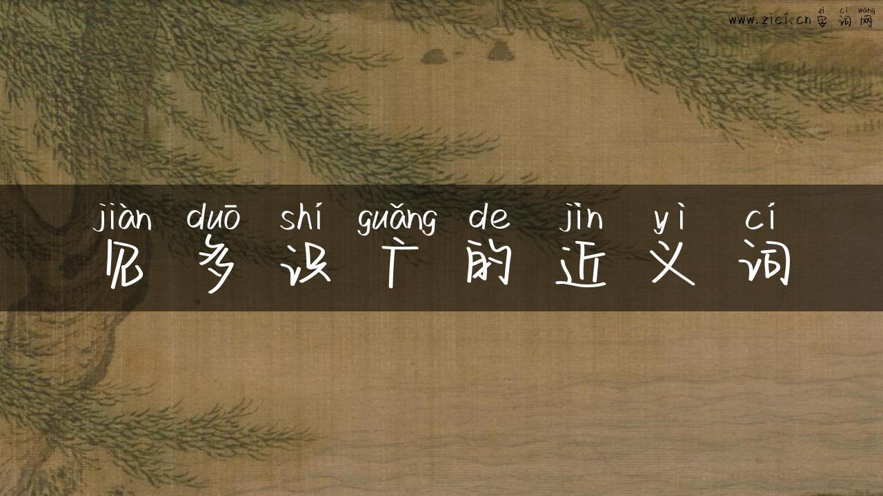 见多识广的近义词