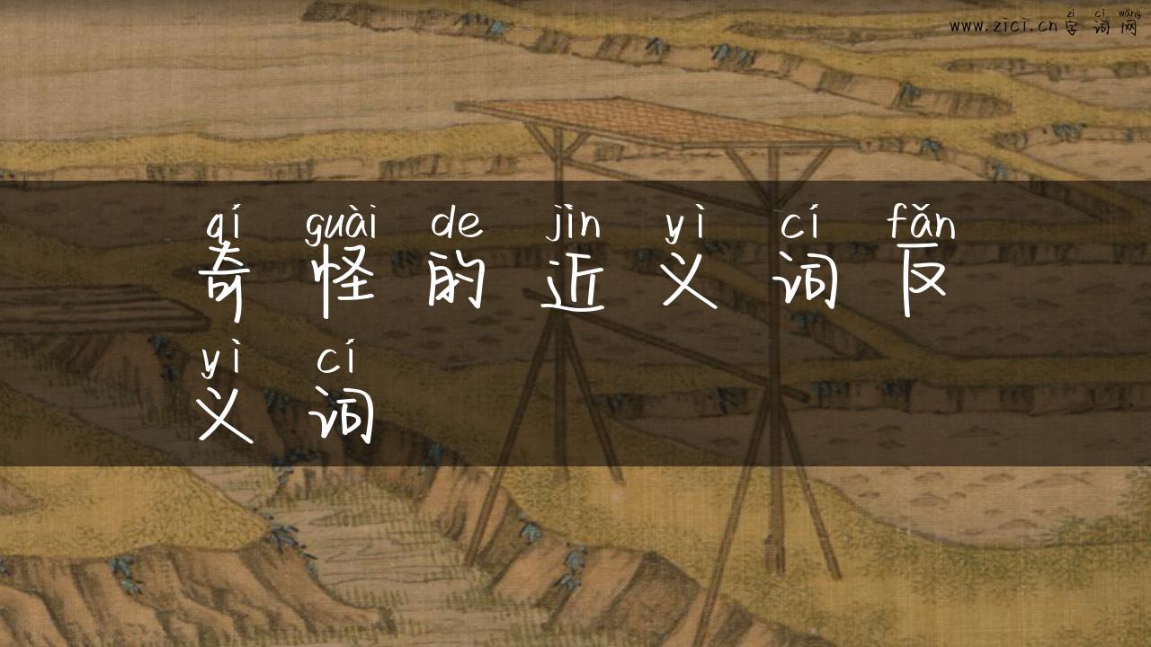 奇怪的近义词反义词