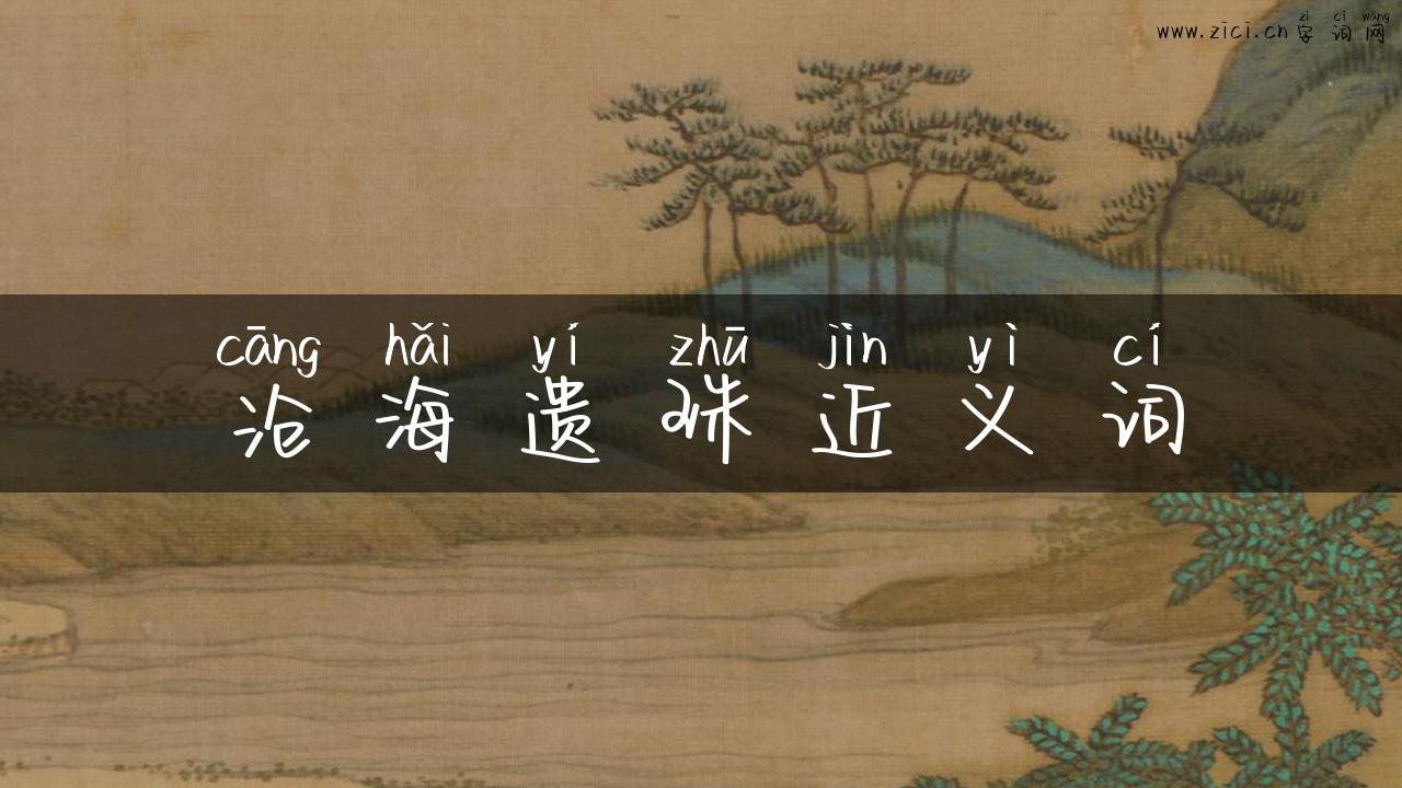 沧海遗珠近义词