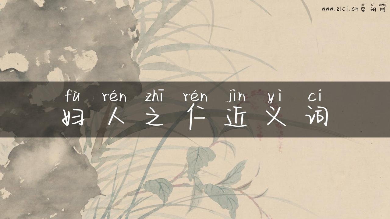 妇人之仁近义词