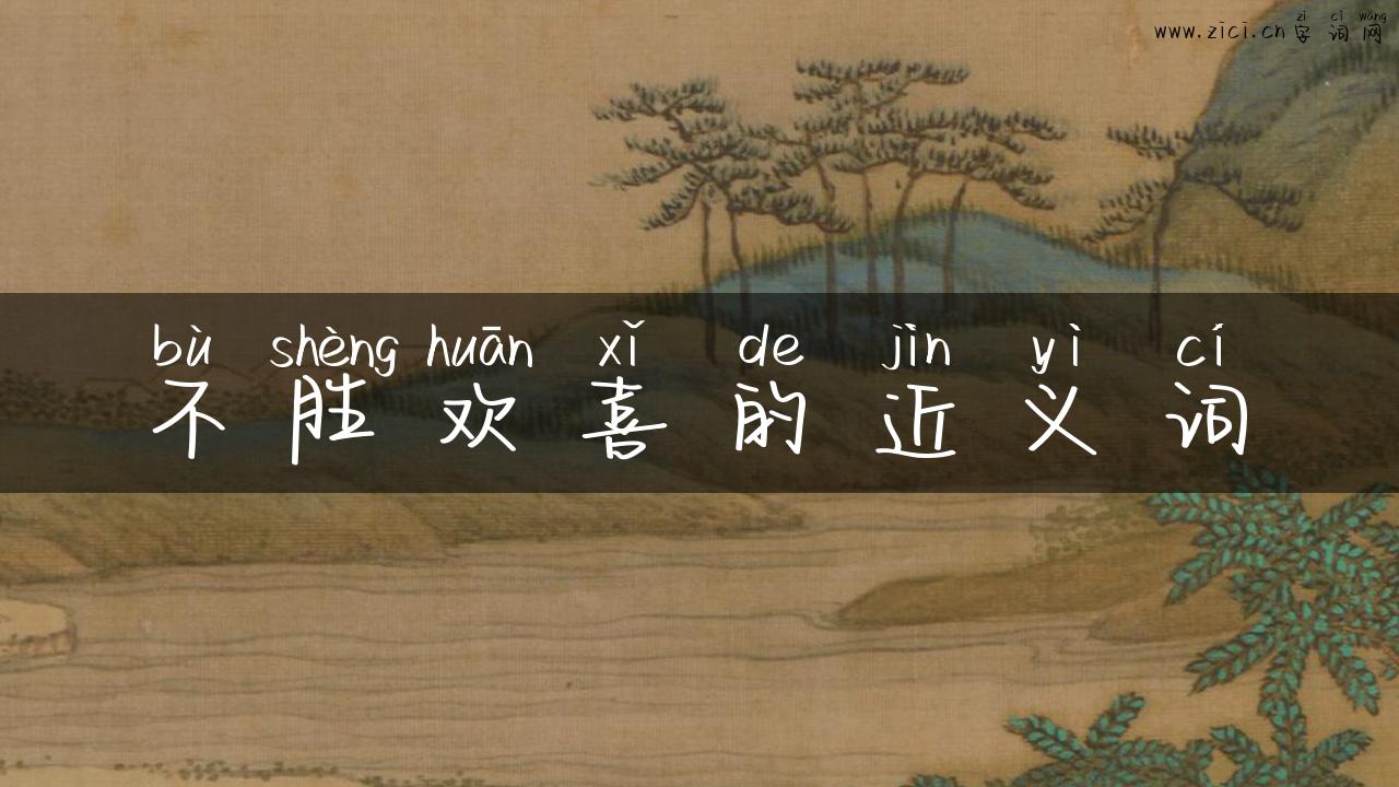 不胜欢喜的近义词