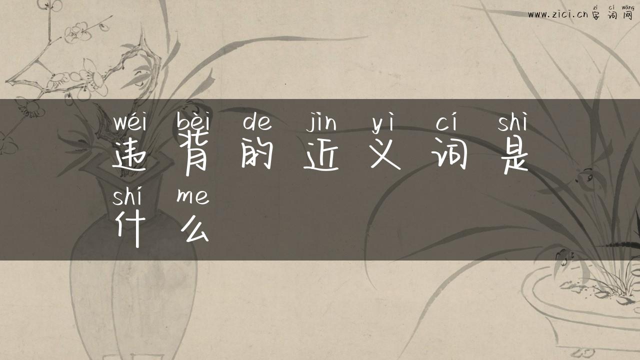 违背的近义词是什么