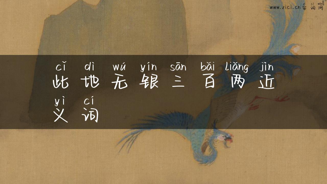 此地无银三百两近义词