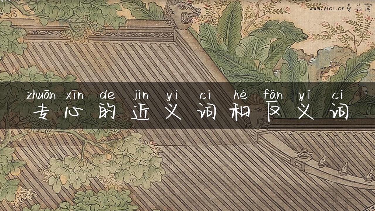 专心的近义词和反义词