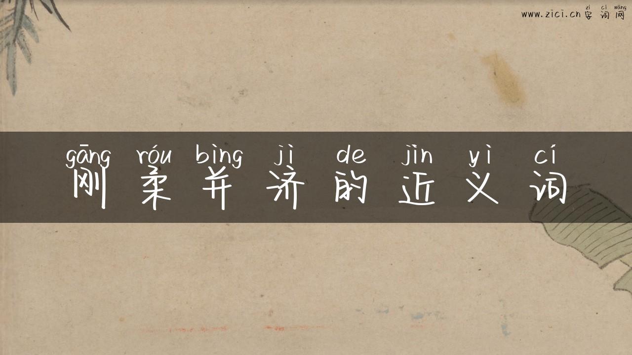 刚柔并济的近义词