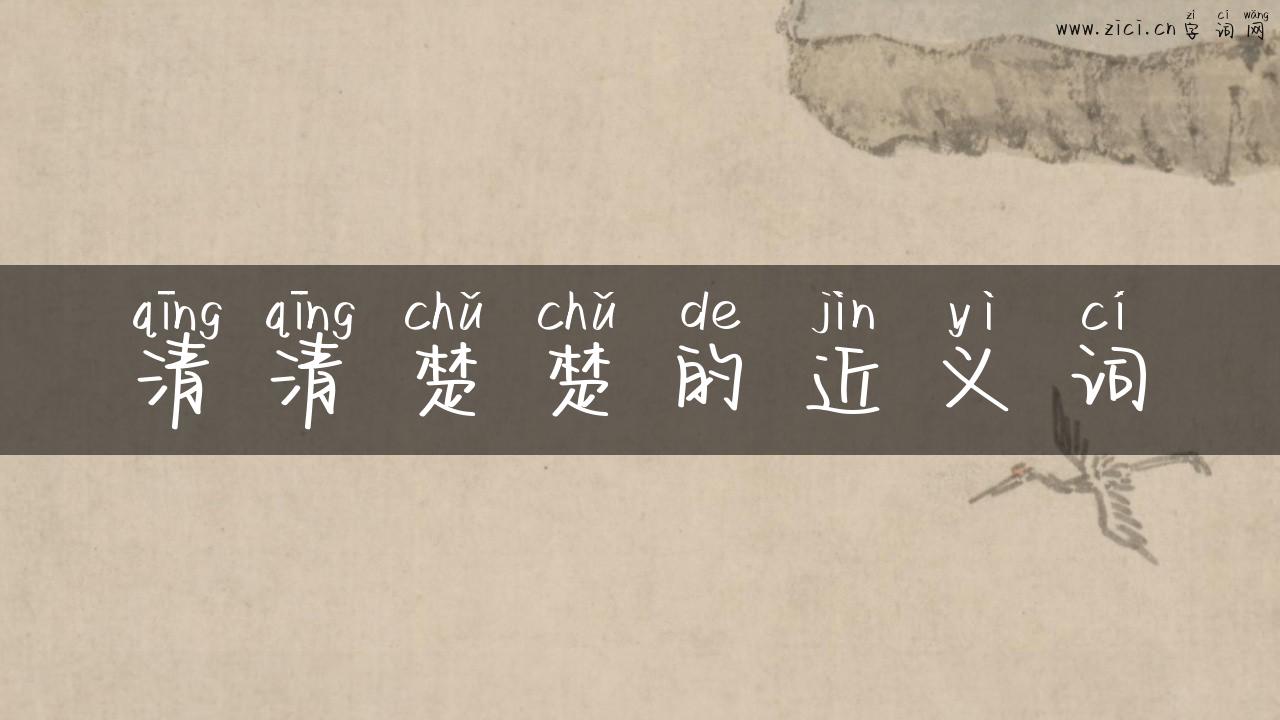 清清楚楚的近义词