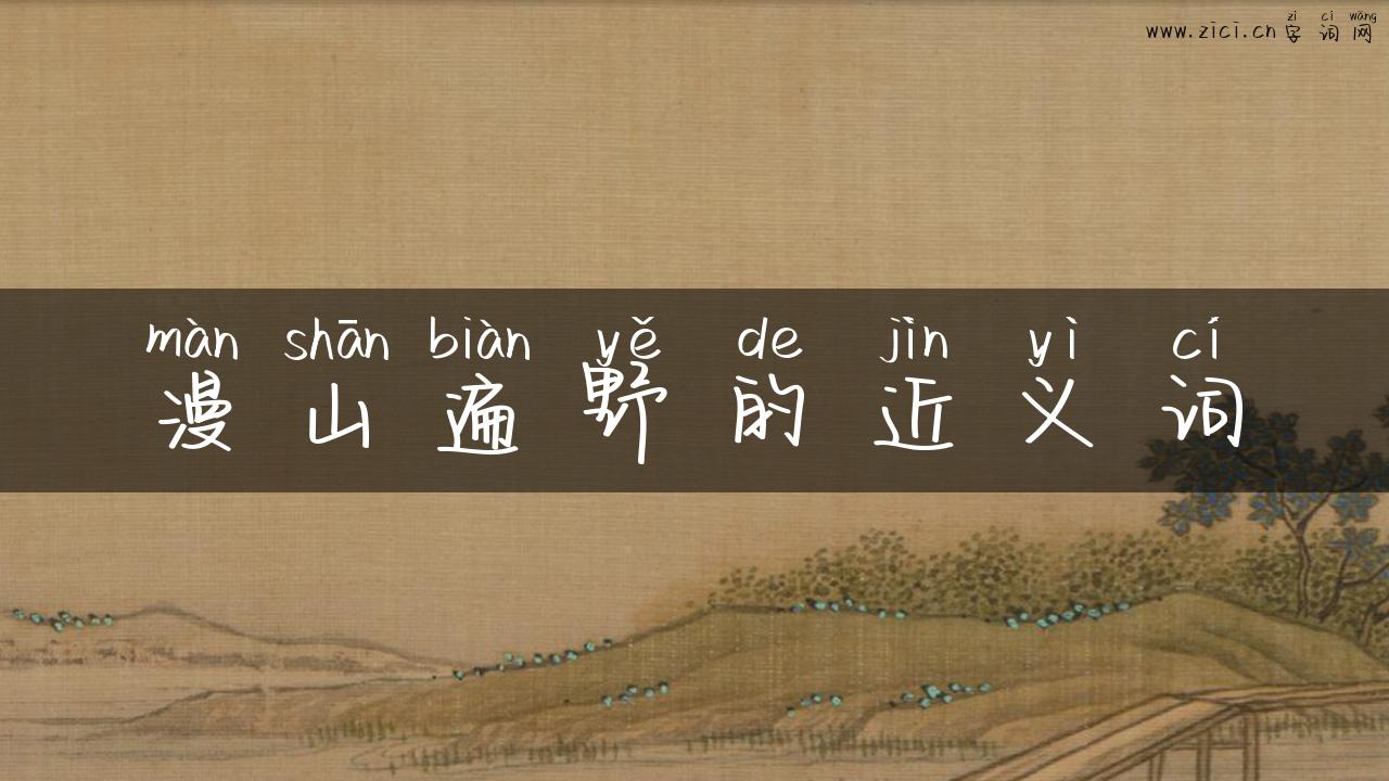 漫山遍野的近义词