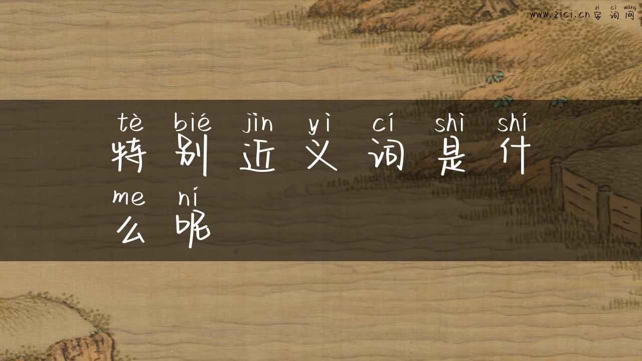 特别近义词是什么呢