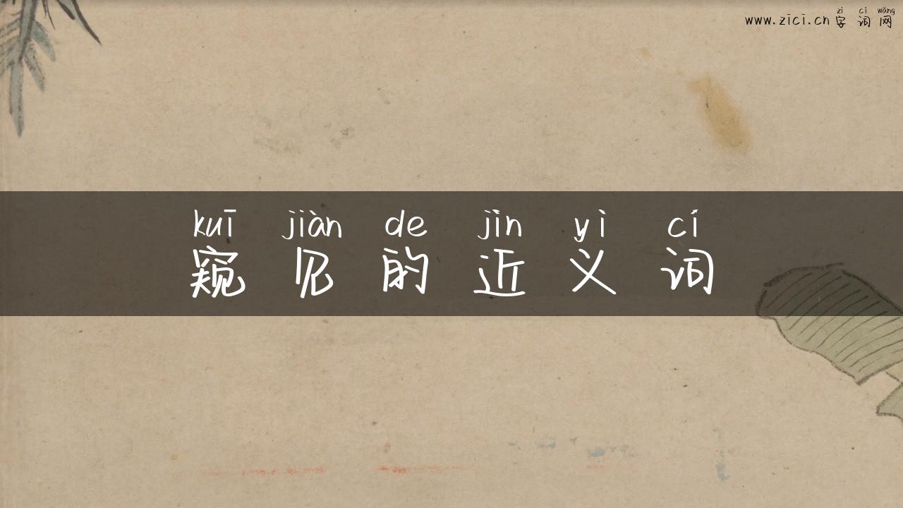窥见的近义词