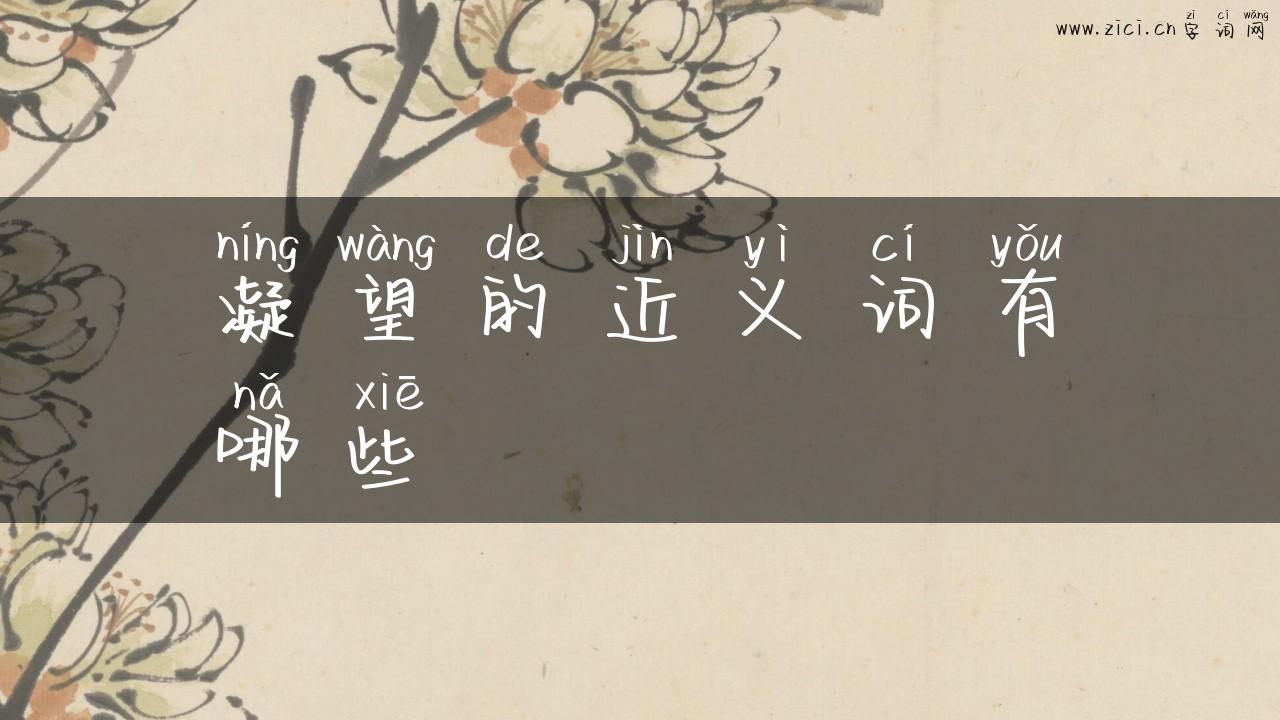 凝望的近义词有哪些