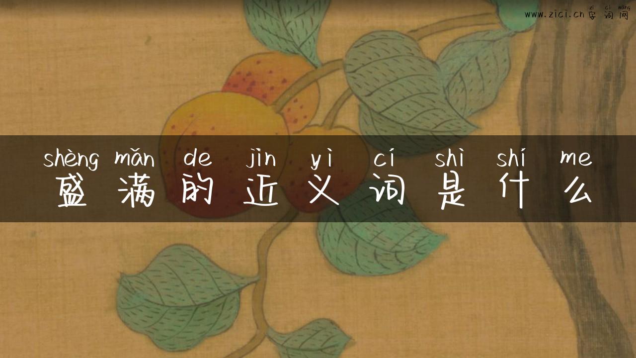 盛满的近义词是什么
