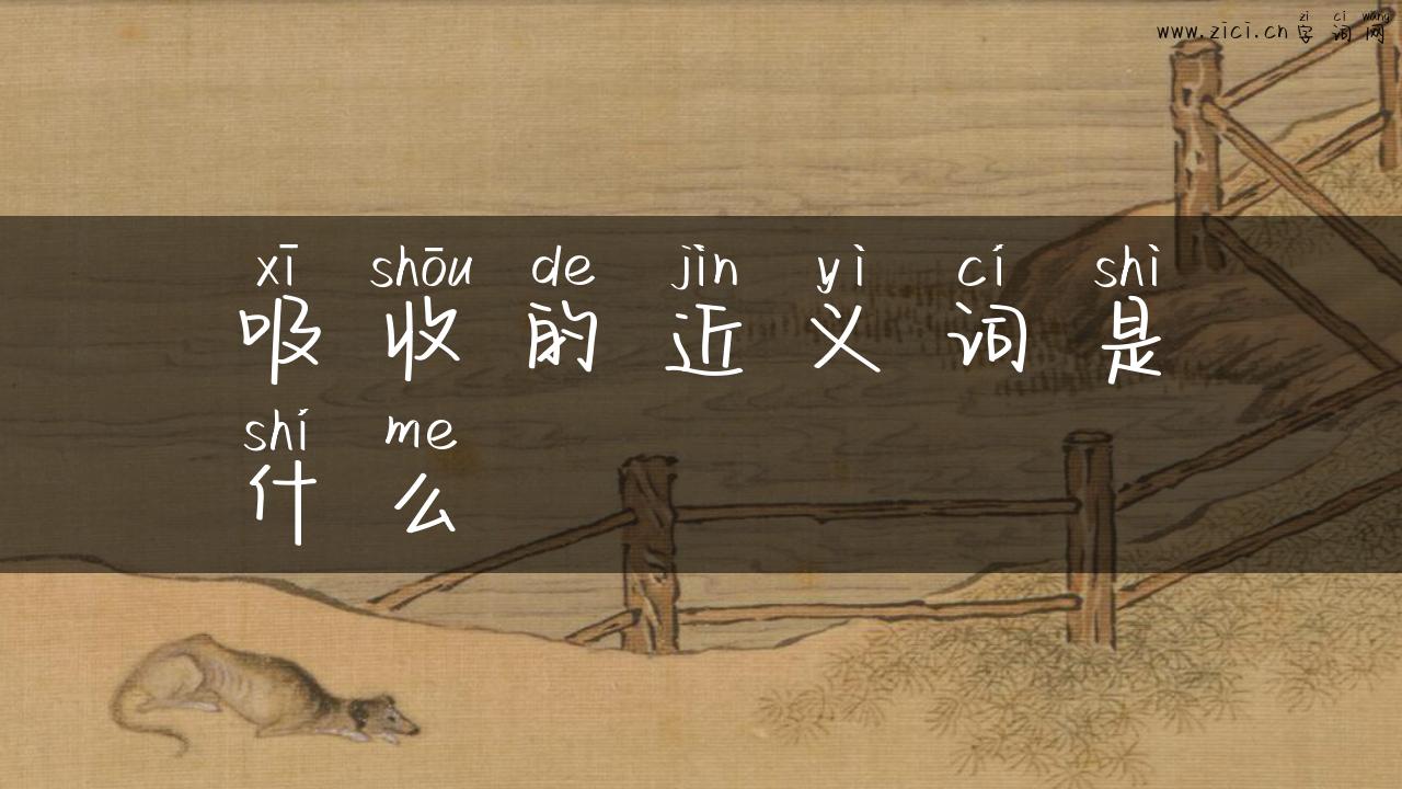 吸收的近义词是什么