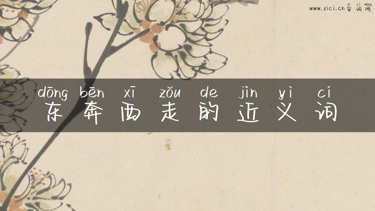 东奔西走的近义词