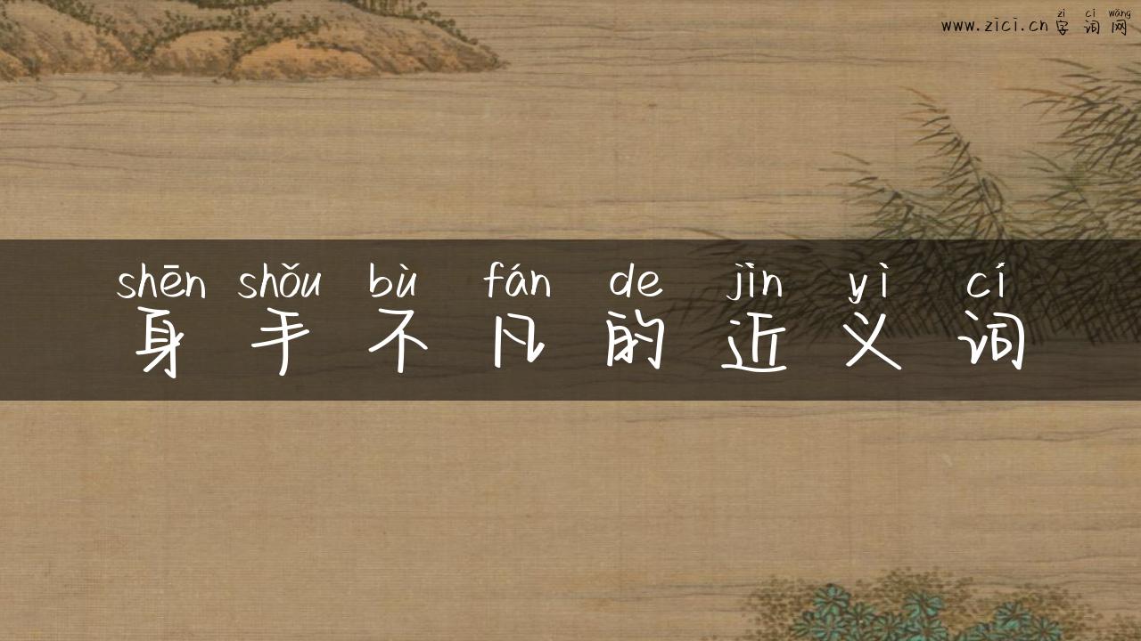 身手不凡的近义词