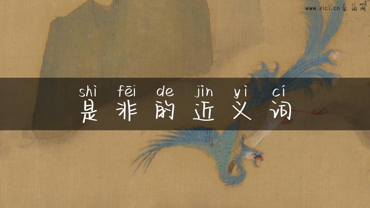 是非的近义词