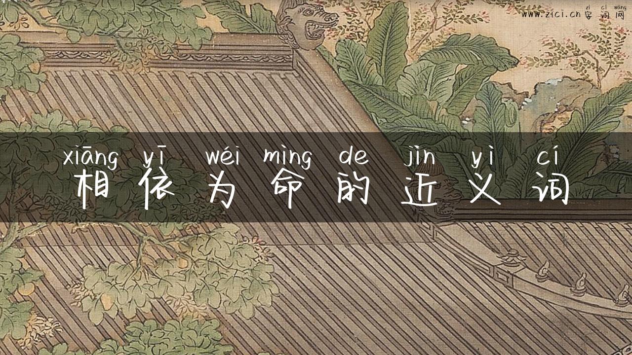 相依为命的近义词