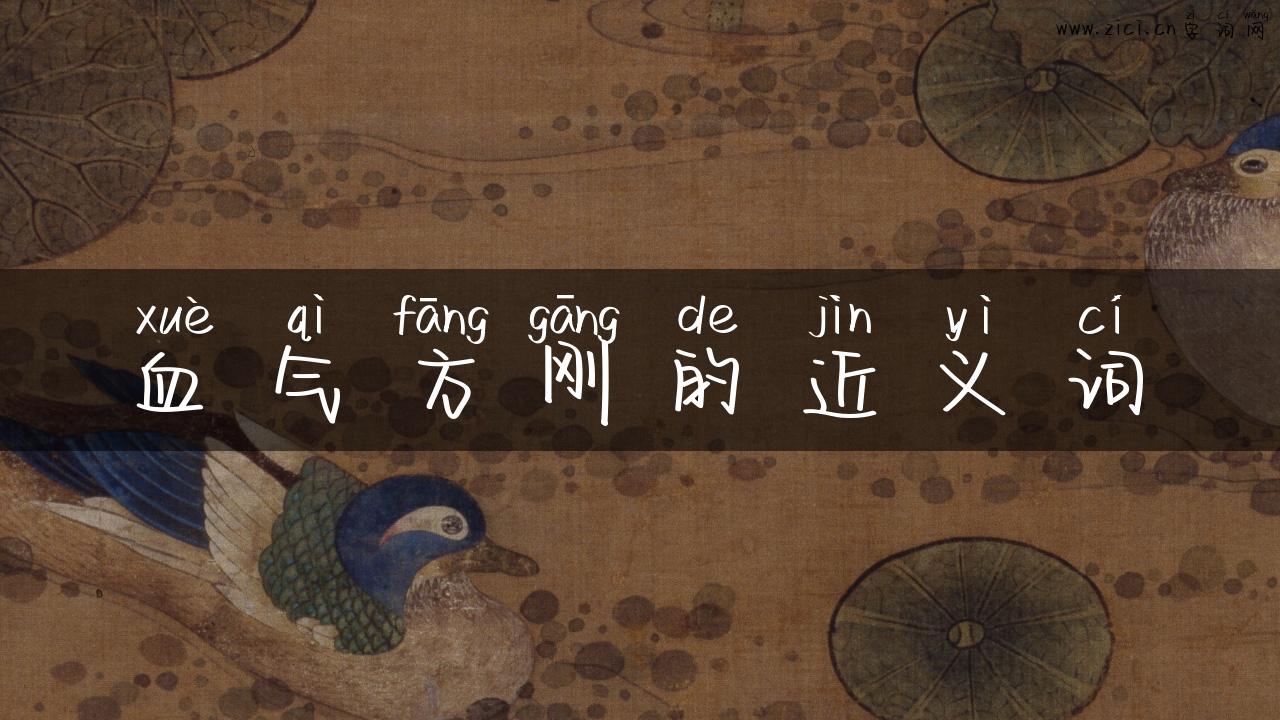 血气方刚的近义词