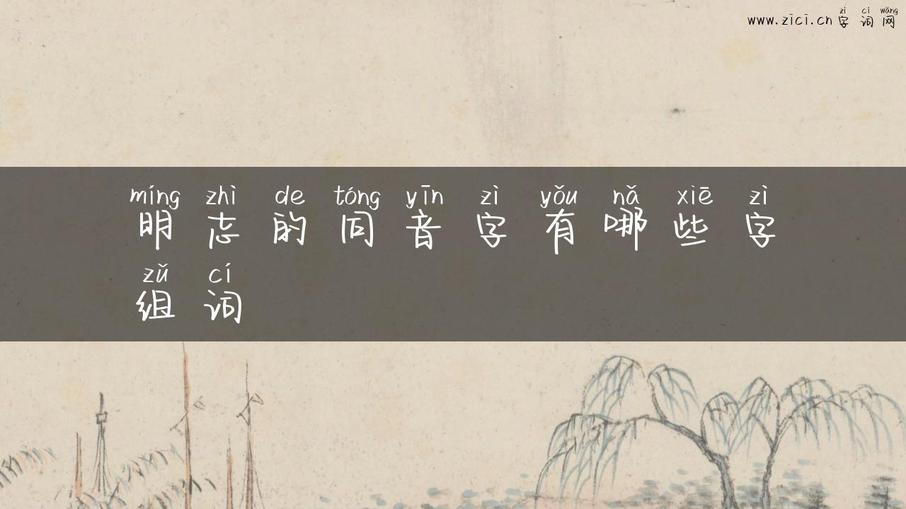 明志的同音字有哪些字组词