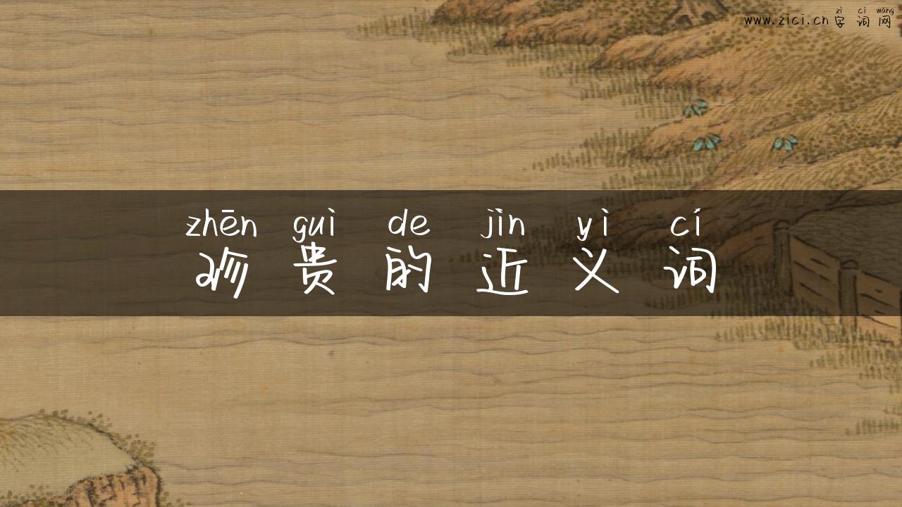 珍贵的近义词