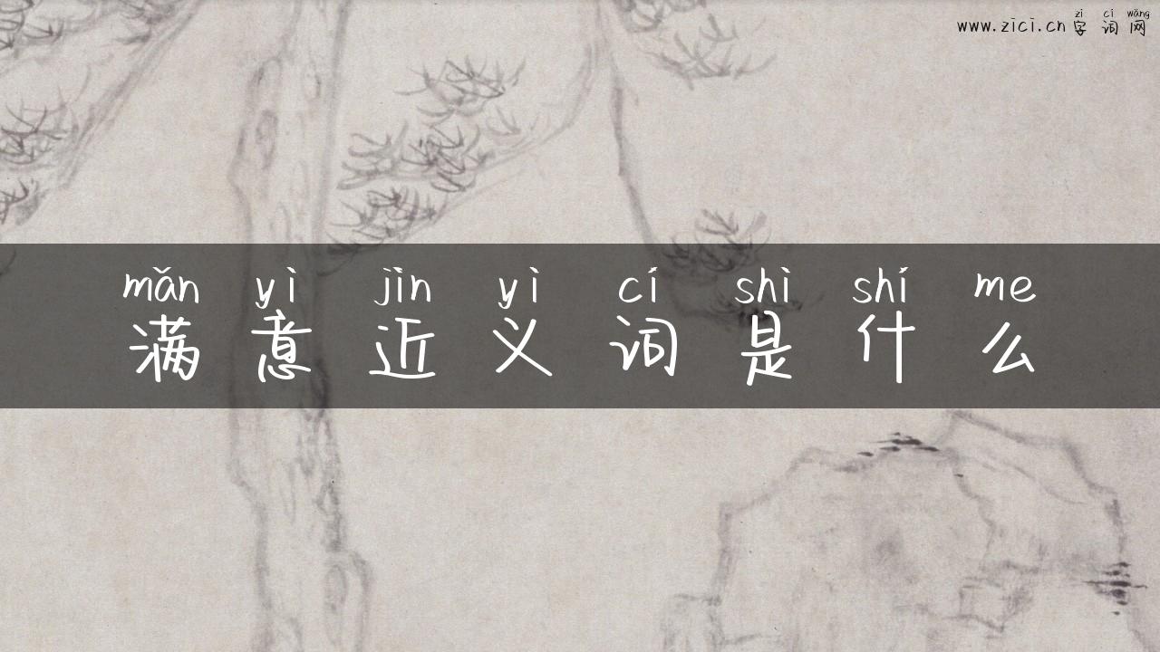 满意近义词是什么
