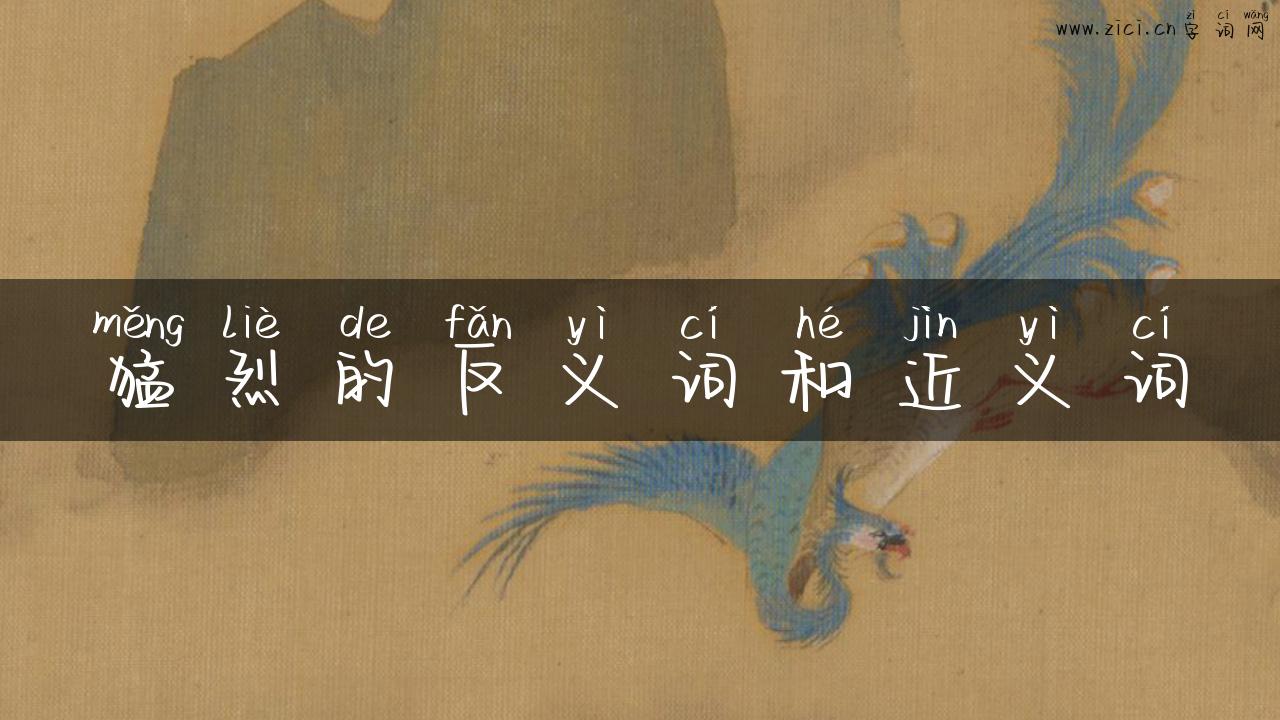 猛烈的反义词和近义词