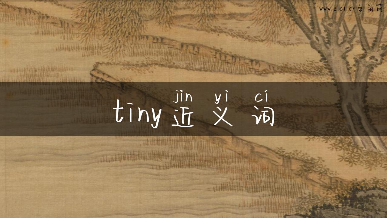 tiny近义词