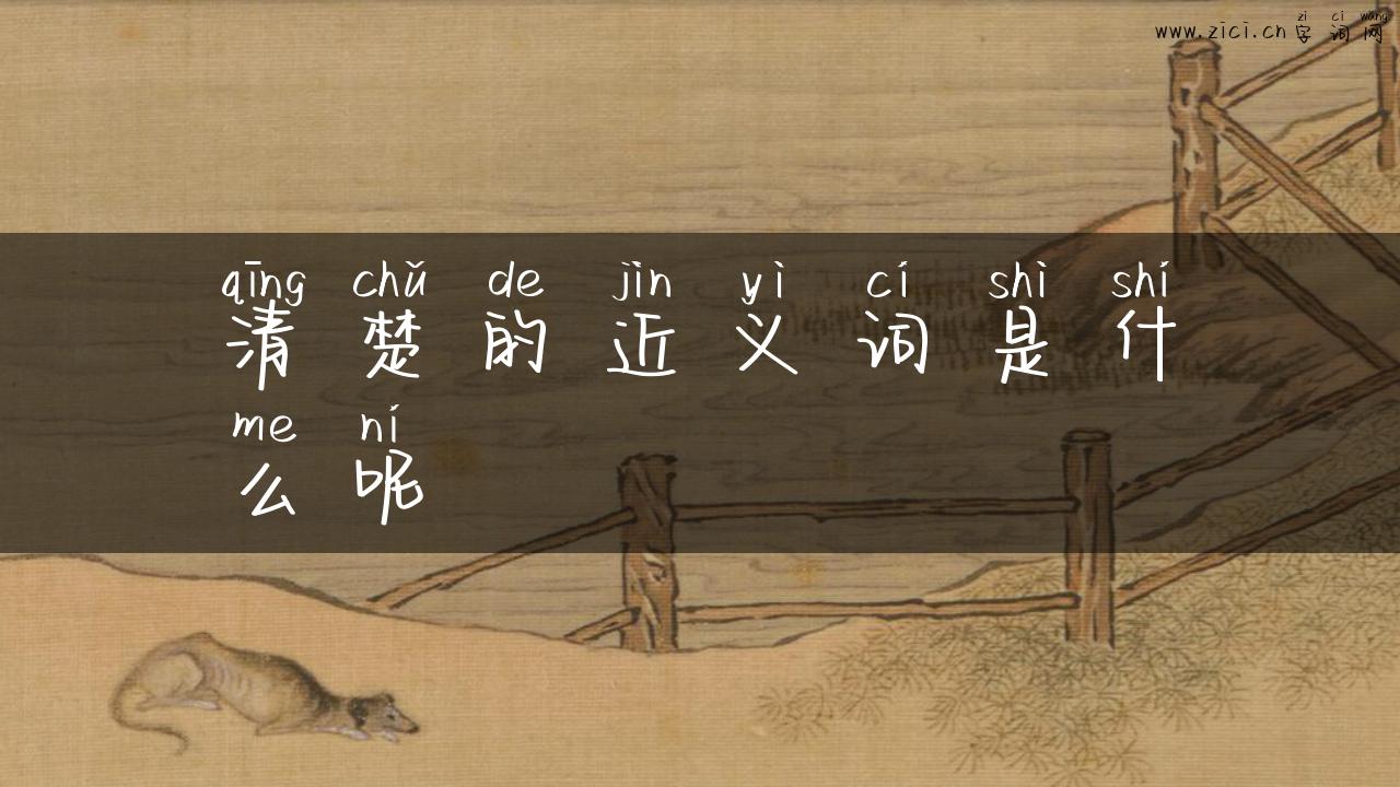 清楚的近义词是什么呢