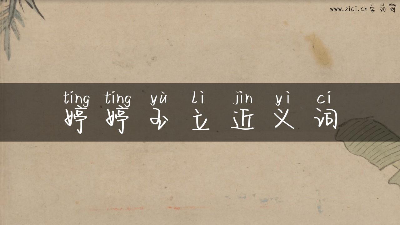 婷婷玉立近义词