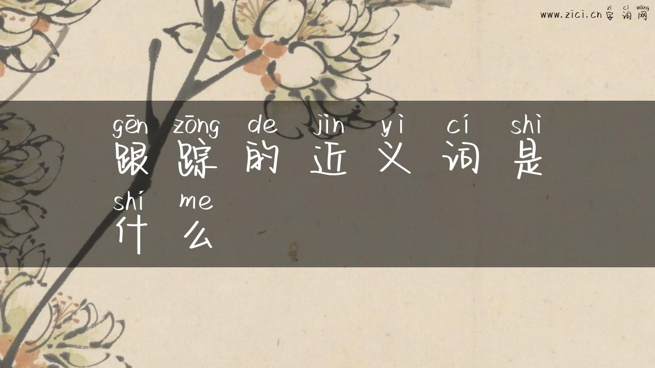 跟踪的近义词是什么