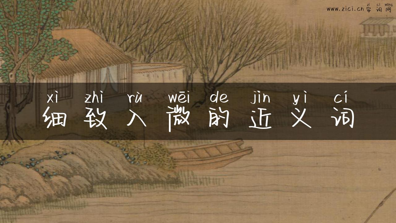 细致入微的近义词