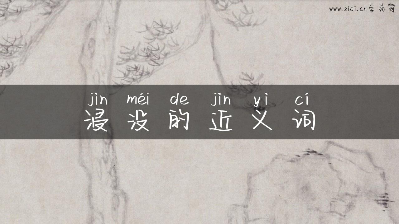 浸没的近义词