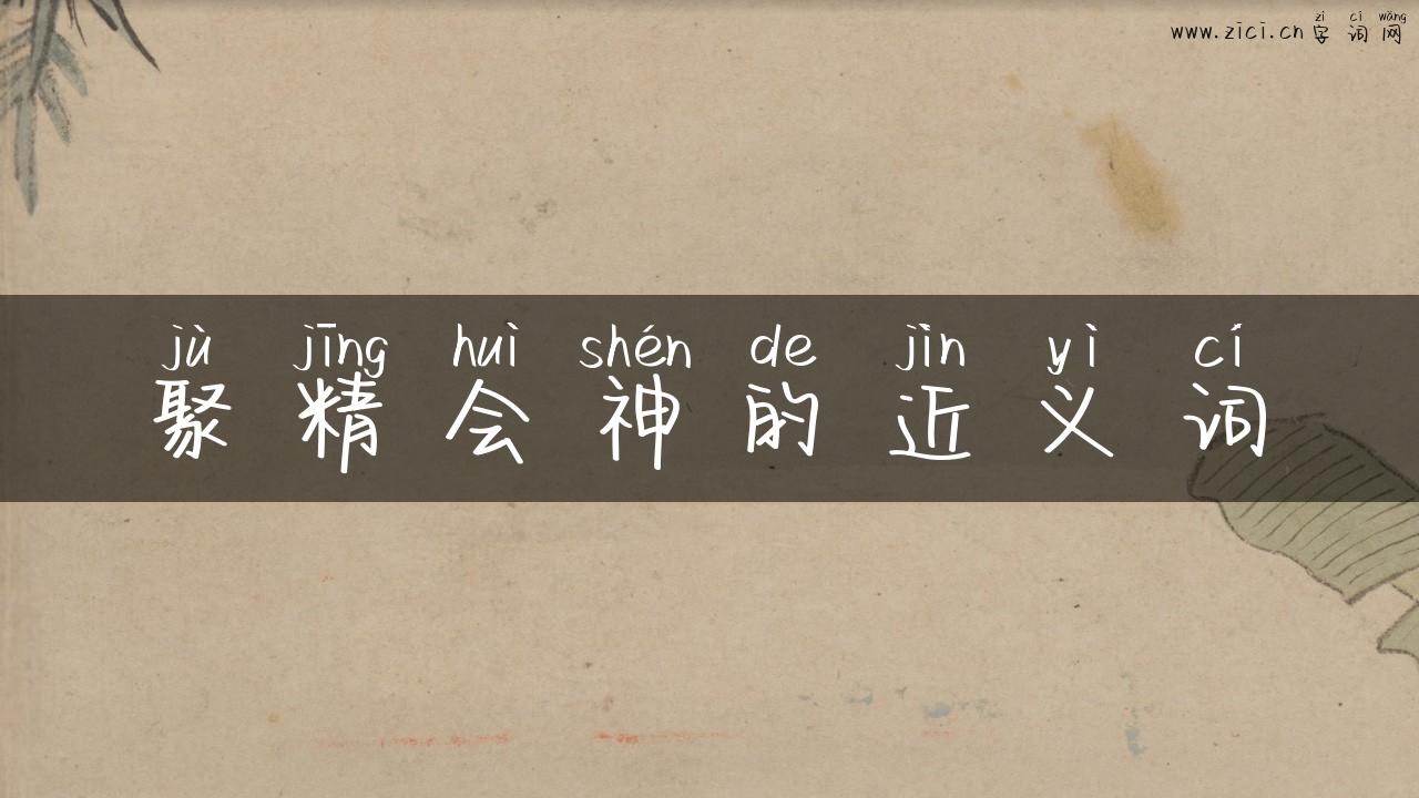 聚精会神的近义词