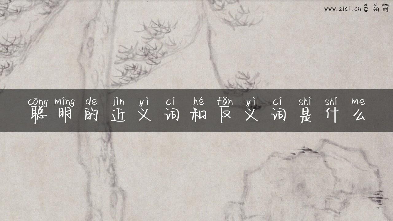 聪明的近义词和反义词是什么