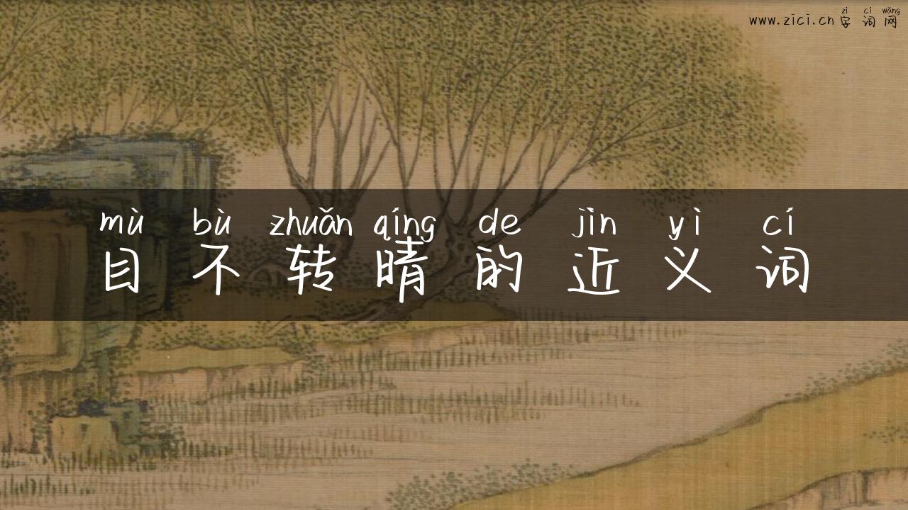目不转晴的近义词